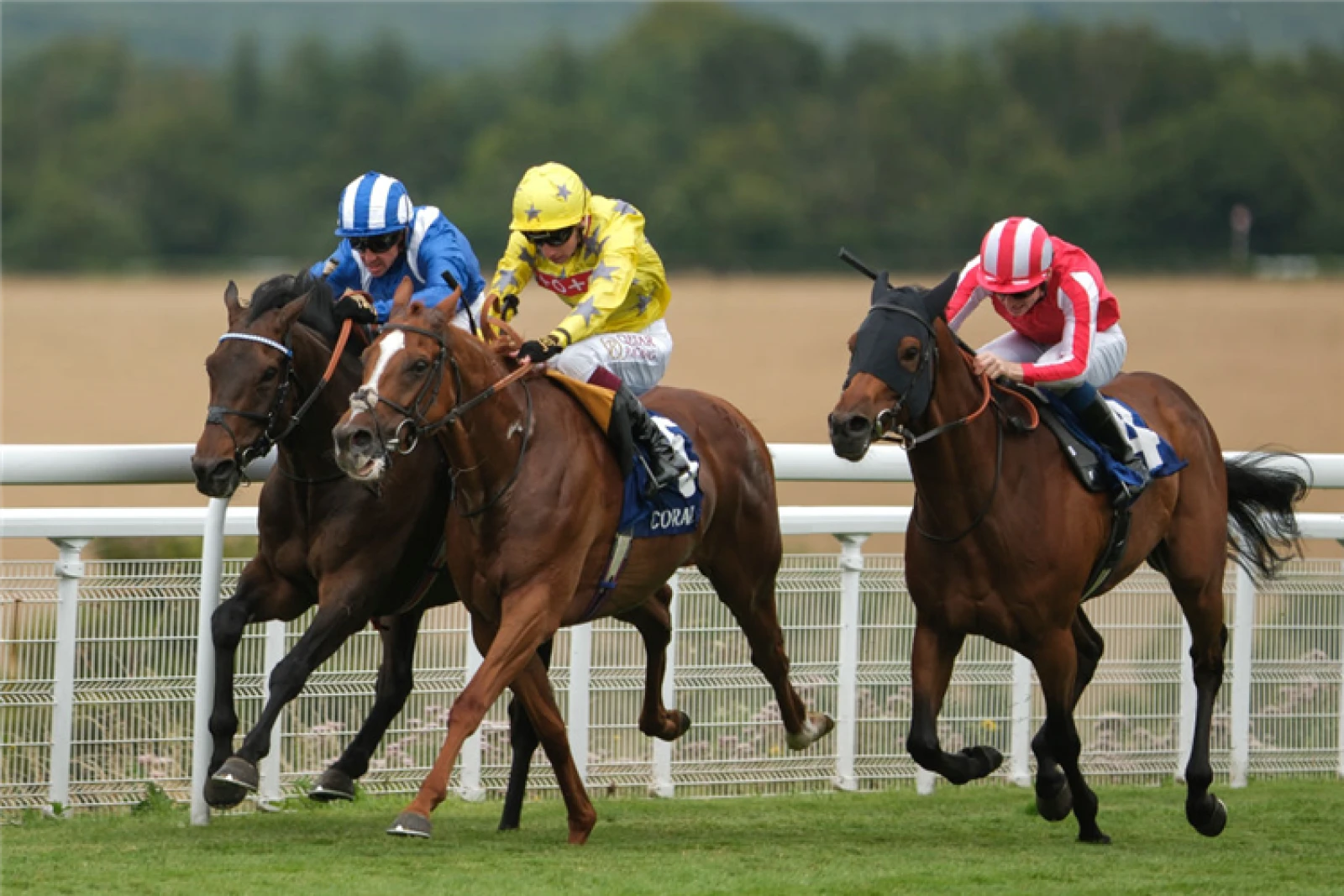 Al Aasy claims Glorious Stakes success